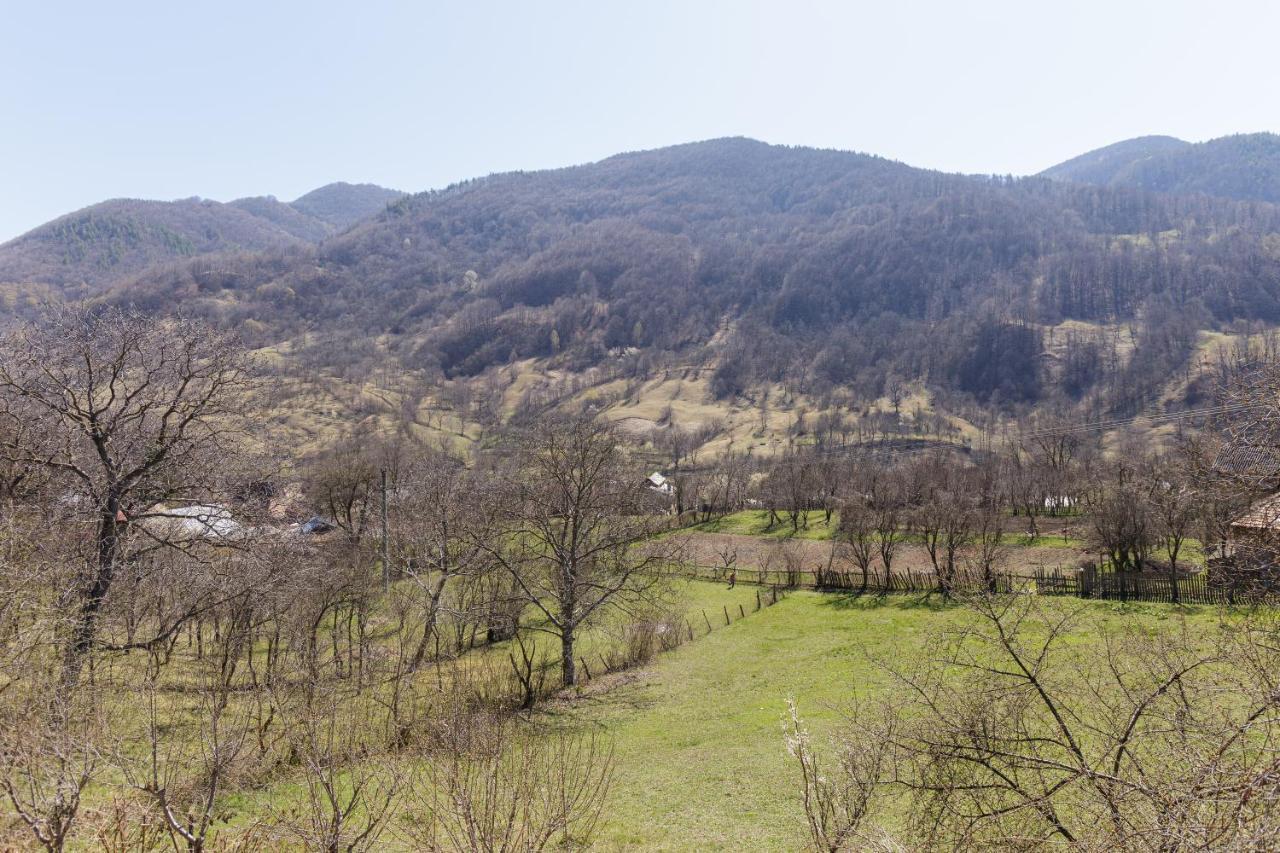 Nook Of Nature Basca Rozilei Exterior foto